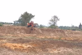 Gia Lai: Ngang nhiên khai thác đất công, một người dân bị phạt 60 triệu đồng