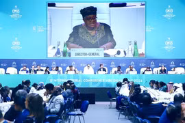 Kết nạp Đông Timor, WTO chính thức có 166 thành viên