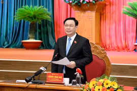 Phát huy truyền thống đoàn kết, chủ động, sáng tạo, tinh thần và hào khí “Tây Sơn”