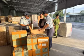 Bình Dương: Xử phạt 270 triệu đồng doanh nghiệp cố ý tàng trữ hàng hóa nhập lậu