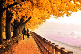 Ở hai đầu nghịch cảnh