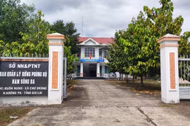 Đề nghị Công an điều tra vụ giả mạo quyết định của Chủ tịch tỉnh Gia Lai để giao đất trồng rừng