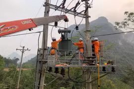 Công ty Điện lực Lạng Sơn thực hiện nghiêm túc các quy định của pháp luật về đấu thầu