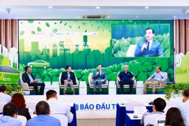 Việt Nam có thể trở thành cường quốc sản xuất xe điện, nhưng vốn ở đâu?
