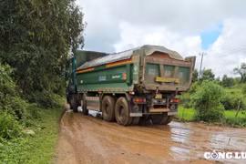 Gia Lai: Xe tải chở đất có dấu hiệu quá khổ, quá tải, gây mất an toàn giao thông