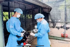 Tiếp tục lấy mẫu giám sát môi trường tại Khu du lịch Vườn Xoài sau vụ 20 con hổ chết