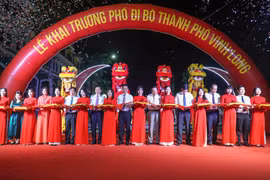 Vĩnh Long khai trương tuyến phố đi bộ tại dự án của T&T Group