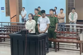 Gia Lai: Thủ quỹ trường học chiếm đoạt hơn 600 triệu của cơ quan lãnh án 12 năm tù
