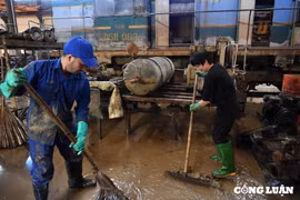 Đường sắt thiệt hại hàng trăm tỷ đồng do ảnh hưởng của bão số 3