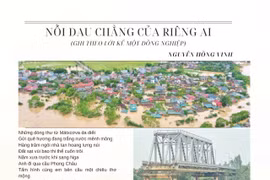 Nỗi đau chẳng của riêng ai