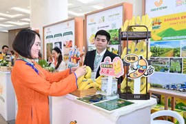 Mặt hàng trái cây nào của Việt Nam đang có nhiều tiềm năng xuất khẩu sang Trung Quốc?