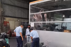 TP.HCM: Phát hiện gần 8 tấn thực phẩm đông lạnh "không tem, không nhãn mác"