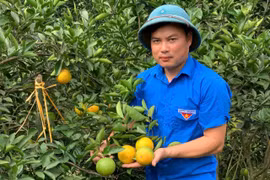 Thủ lĩnh Đoàn, giỏi làm nông thôn mới!