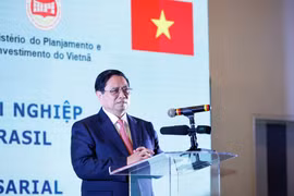Thúc đẩy doanh nghiệp Brazil hợp tác với Việt Nam khai thác các không gian phát triển mới