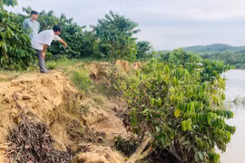 Kon Tum: Người dân bất an vì thủy điện tích nước gây sạt lở, ngập úng hoa màu