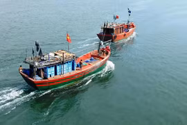 Mở đợt cao điểm tuần tra, kiểm tra, kiểm soát xử lý tàu cá '03 không' trong tháng 11/2024