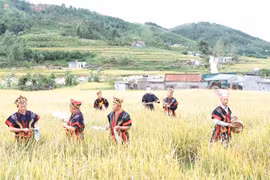 Quảng Ninh: Đặc sắc Hội mùa vàng trên bản làng Đông Bắc
