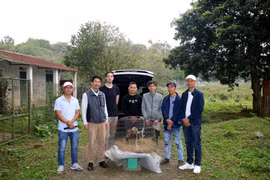 Vườn Quốc gia Cúc Phương tiếp nhận, cứu hộ một cá thể chim Đại bàng đầu nâu cự kỳ quý hiếm