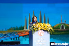 Lễ hội Vì Hòa bình đầu tiên của cả nước được tổ chức tại Quảng Trị