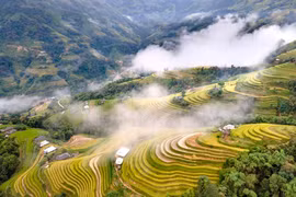 Dừng tổ chức Tuần Văn hóa du lịch 'Qua miền di sản ruộng bậc thang Hoàng Su Phì' năm 2024
