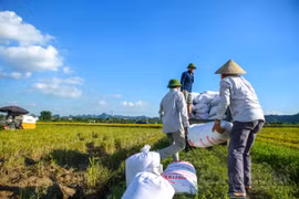 Việt Nam có 5 sản phẩm giá trị xuất khẩu trên 2 tỷ USD trong năm 2023