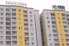 Nợ phải trả chiếm 74% tài sản, Năm Bảy Bảy (NBB) phải bán công ty khai thác đá