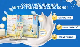 Bỏ túi Gamma Lipid - Bí quyết vàng cho người mỡ máu cao