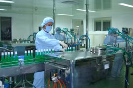 Quá nửa tài sản là tiền mặt, Pharmedic (PMC) sắp trả cổ tức tỷ lệ 109%