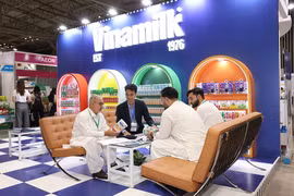 Vinamilk - Doanh nghiệp duy nhất của ngành sữa Việt Nam trong danh sách Fortune 500 Đông Nam Á
