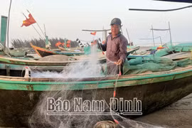 Nam Định: Đẩy mạnh thực hiện phòng, chống khai thác hải sản bất hợp pháp IUU