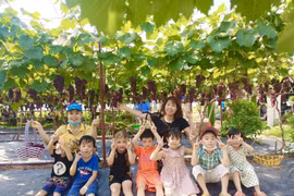 Vườn nho ở Hà Nội chín mọng thu hút nhiều người dân tới chụp hình