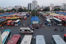 Thu hồi giấy phép vận tải của hàng loạt đơn vị ở TP.HCM