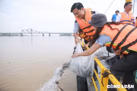Hơn 10 nghìn con cá các loại được phóng sinh trên sông Hồng