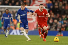 Nhận định Liverpool - Chelsea, 22h30 ngày 20/10, vòng 8 giải Ngoại hạng Anh 2024/25