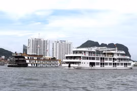 Hàng loạt du thuyền đêm trên vịnh Hạ Long huỷ tour để tránh siêu bão Yagi