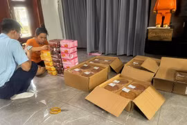 Ninh Bình: Xử phạt và buộc tiêu hủy 288 chiếc bánh Trung thu các loại nhập lậu