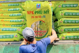6 tháng đầu năm 2024, PVFCCo tăng trưởng ấn tượng trong tiêu thụ và mở rộng thị trường