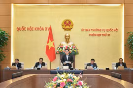 Phê chuẩn kết quả bầu Phó Chủ tịch Hội đồng nhân dân Thành phố Hồ Chí Minh