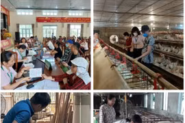 Hà Nam: Hơn 17,4 nghìn hội viên phụ nữ đang sử dụng vốn vay tín dụng chính sách