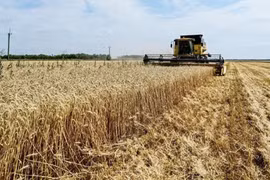 Ukraine đã xuất khẩu 15 triệu tấn hàng hóa qua hành lang vận chuyển mới
