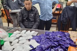 Công an Hà Nội thu giữ hơn 1,3 tấn ma túy trong 10 tháng