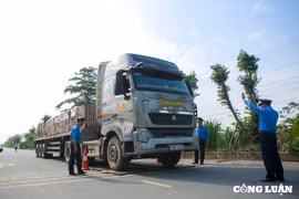 Hà Nội: Thanh tra giao thông huyện Quốc Oai tăng cường xử lý quá khổ, quá tải