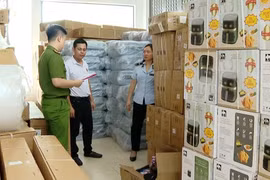 Phát hiện, bắt giữ lô hàng đồ điện gia dụng nhập lậu trị giá nhiều tỷ đồng tại Ninh Bình