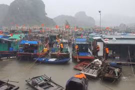 Quảng Bình sẽ cấm biển từ 0h sáng mai
