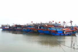 Quảng Bình, Hà Tĩnh khẩn trương ứng phó nguy cơ áp thấp nhiệt đới mạnh lên thành bão