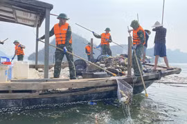 Thu gom lượng rác “khủng” trên vịnh Hạ Long sau bão số 3