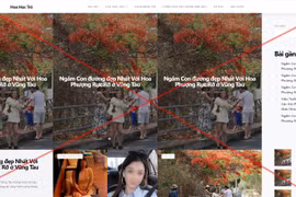 Báo Tiền Phong thông báo về web giả mạo chuyên trang Hoa Học Trò điện tử