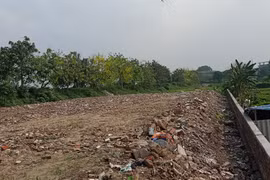 Huyện Gia Lâm sẽ chỉ đạo xử lí việc san lấp đất công lập chợ tạm tại xã Yên Thường