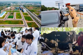 Nóng 18h: Tiếp tục áp dụng bảng giá đất đến hết năm 2025