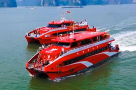 Tàu cao tốc Hạ Long - Cát Bà hoạt động từ tháng 11